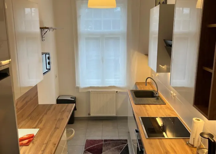 Grosse Herrschaftswohnung Mit Viel Platz * Vienna