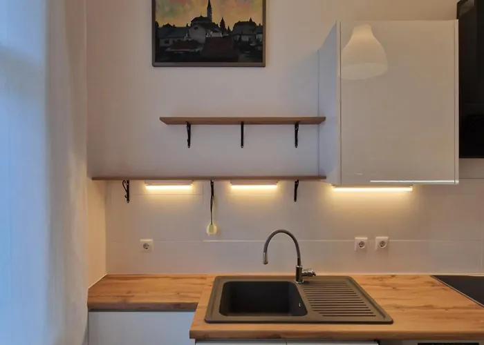 Grosse Herrschaftswohnung Mit Viel Platz Apartment *
